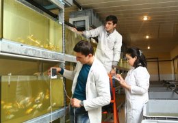 Indoor and outdoor fish farming laboratory