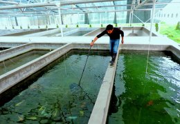Indoor and outdoor fish farming laboratory