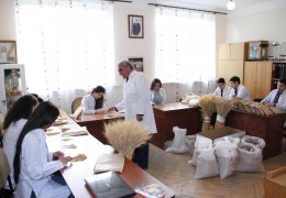 Лаборатория зерновых и бобовых культур