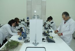 Клиникa по выращиванию растений