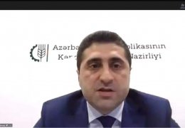 ADAU-da onlayn “Məzun Yarmarkası-2021” tədbiri keçirilib
