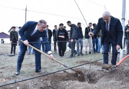 ADAU-da “Heydər Əliyev İli” çərçivəsində ağacəkmə aksiyası keçirilib